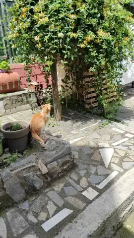 Not the best hunter
